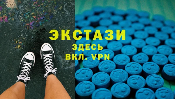 ECSTASY Лагань