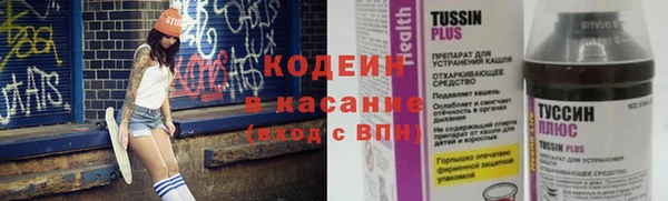 ECSTASY Лагань