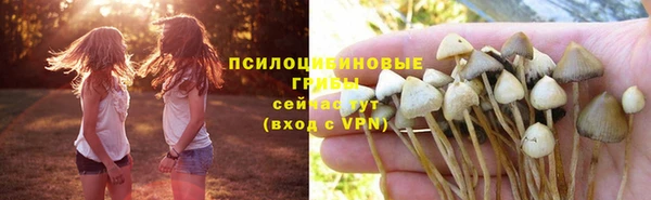 ECSTASY Лагань