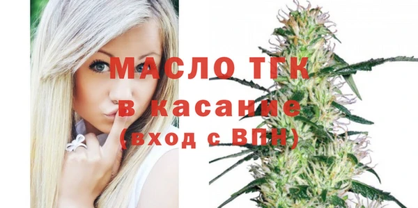 ECSTASY Лагань
