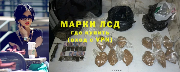 ECSTASY Лагань