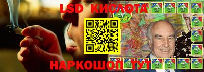 прущие грибы Будённовск