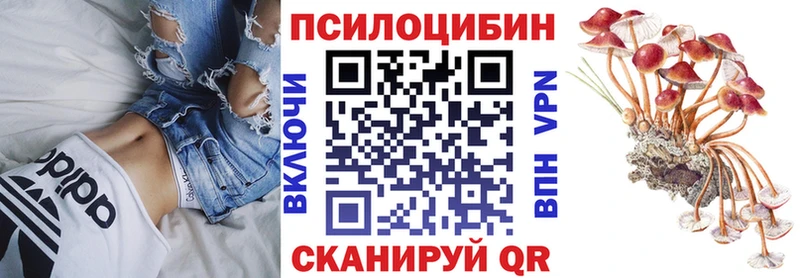 Псилоцибиновые грибы GOLDEN TEACHER  Учалы 