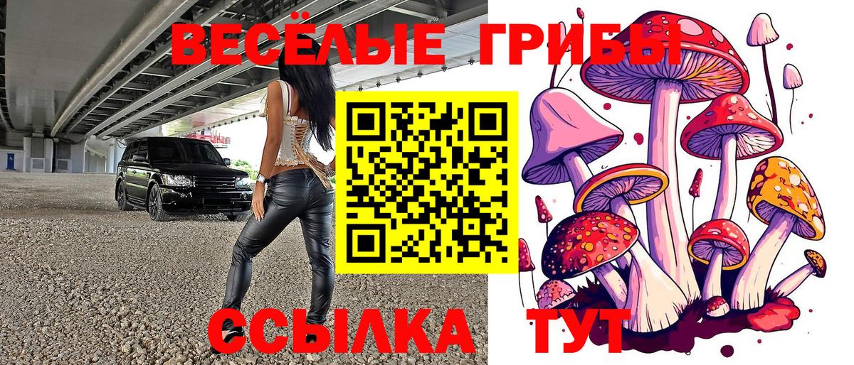 закладки  Галлюциногенные грибы ЛСД  Учалы  Галлюциногенные грибы ЛСД 