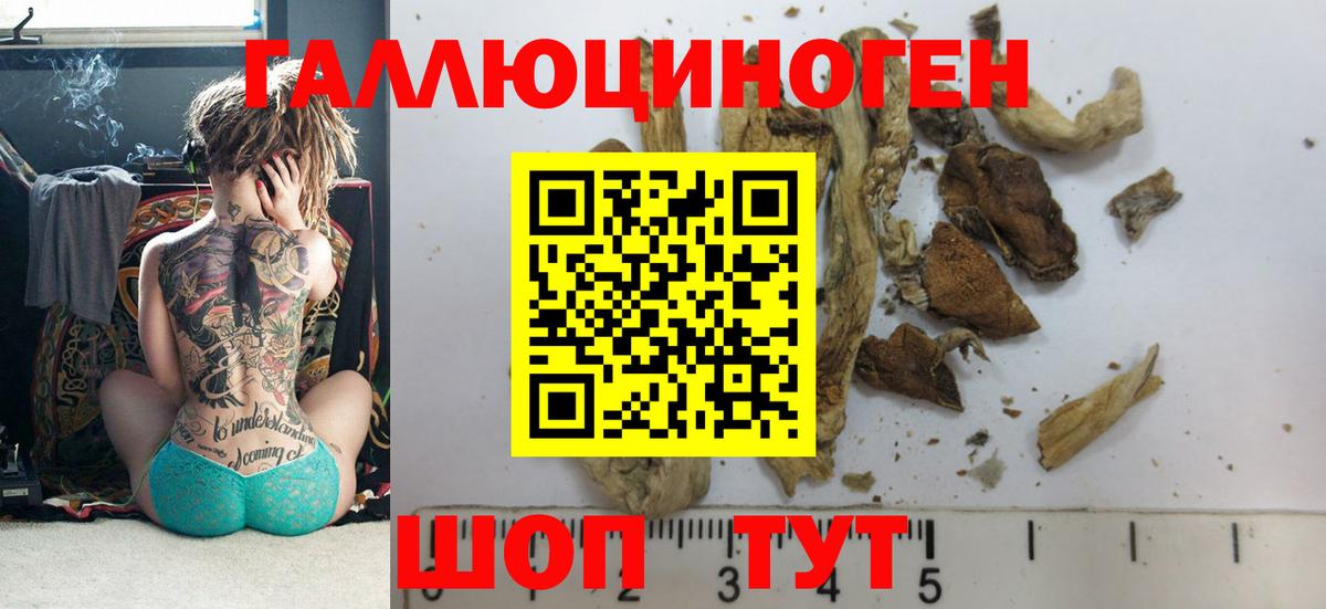 Псилоцибиновые грибы Psilocybine cubensis  Псилоцибиновые грибы прущие грибы  Учалы  Вход с VPN 